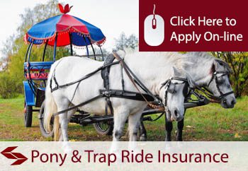 Pony and Trap Ride Operator Liability Insurance